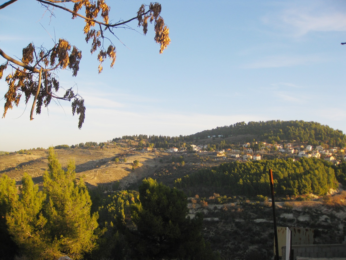 PikiWiki_Israel_11430_View_the_Safed