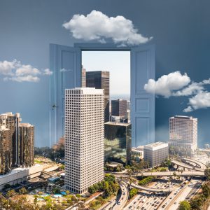 חברות באיגוד הנדל"ן
